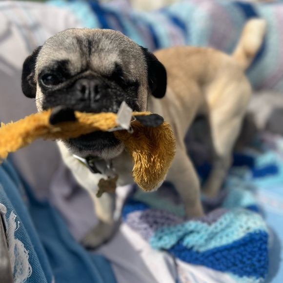 Meet your Posher, Katherine - Picture 6 of 10